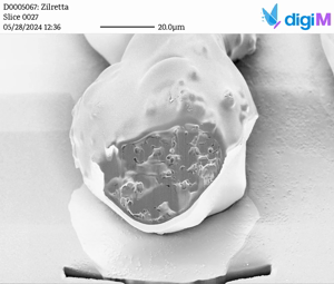 Microstructure image 3